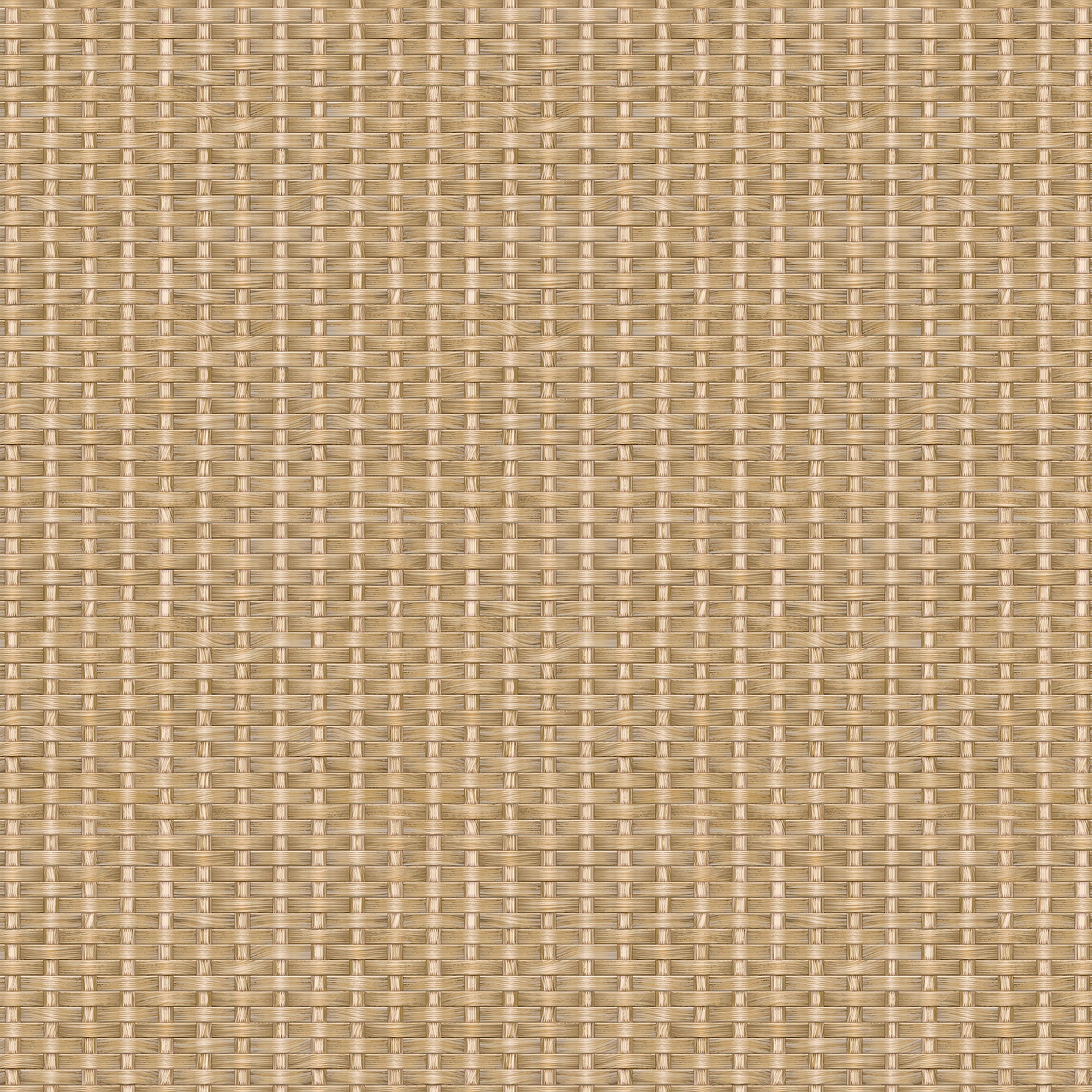 Kuba Raffia Sand Berber Wallpaper by Coordonné