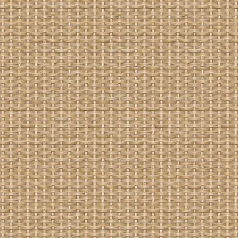 Kuba Raffia Sand Berber Wallpaper by Coordonné