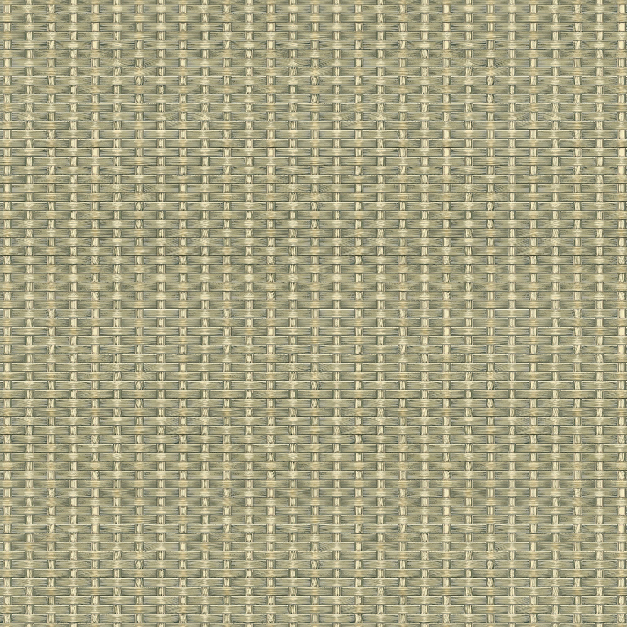 Kuba Raffia Leaves Berber Wallpaper by Coordonné