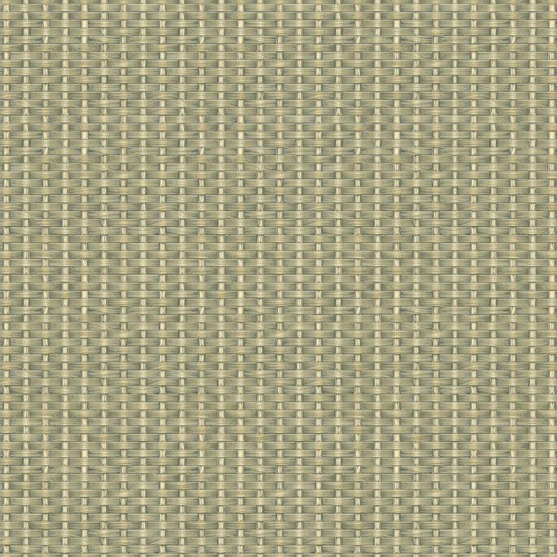 Kuba Raffia Leaves Berber Wallpaper by Coordonné