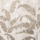 Leaves Shadow Stone Berber Mural by Coordonné (400x280cm)