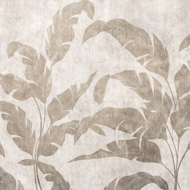 Leaves Shadow Stone Berber Mural by Coordonné (400x280cm)