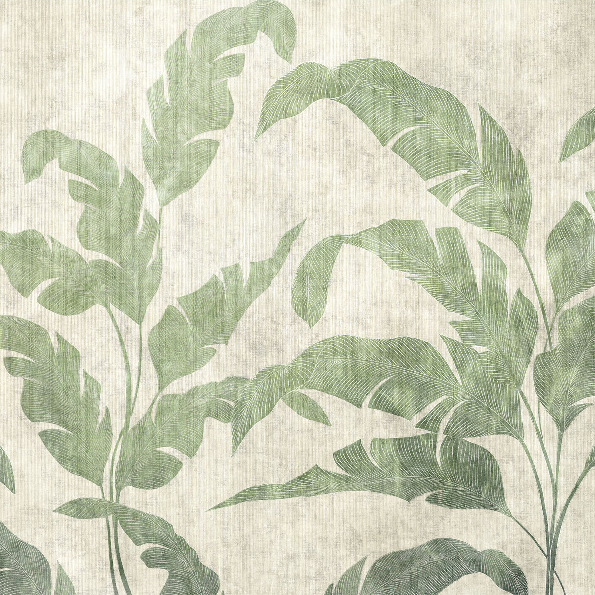 Leaves Shadow Leaves Berber Mural by Coordonné (400x280cm)