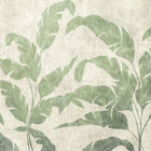 Leaves Shadow Leaves Berber Mural by Coordonné (400x280cm)