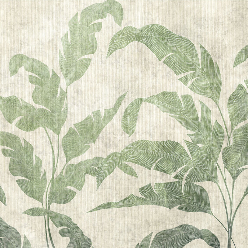 Leaves Shadow Leaves Berber Mural by Coordonné (400x280cm)