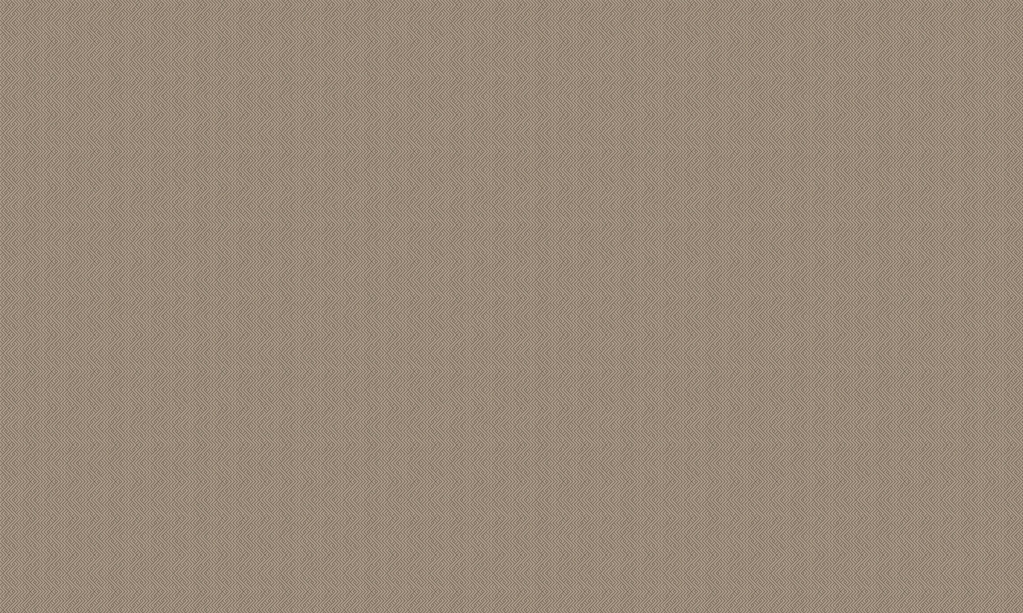 B00503 Interwoven Mole Lattice Wallpaper by Coordonné