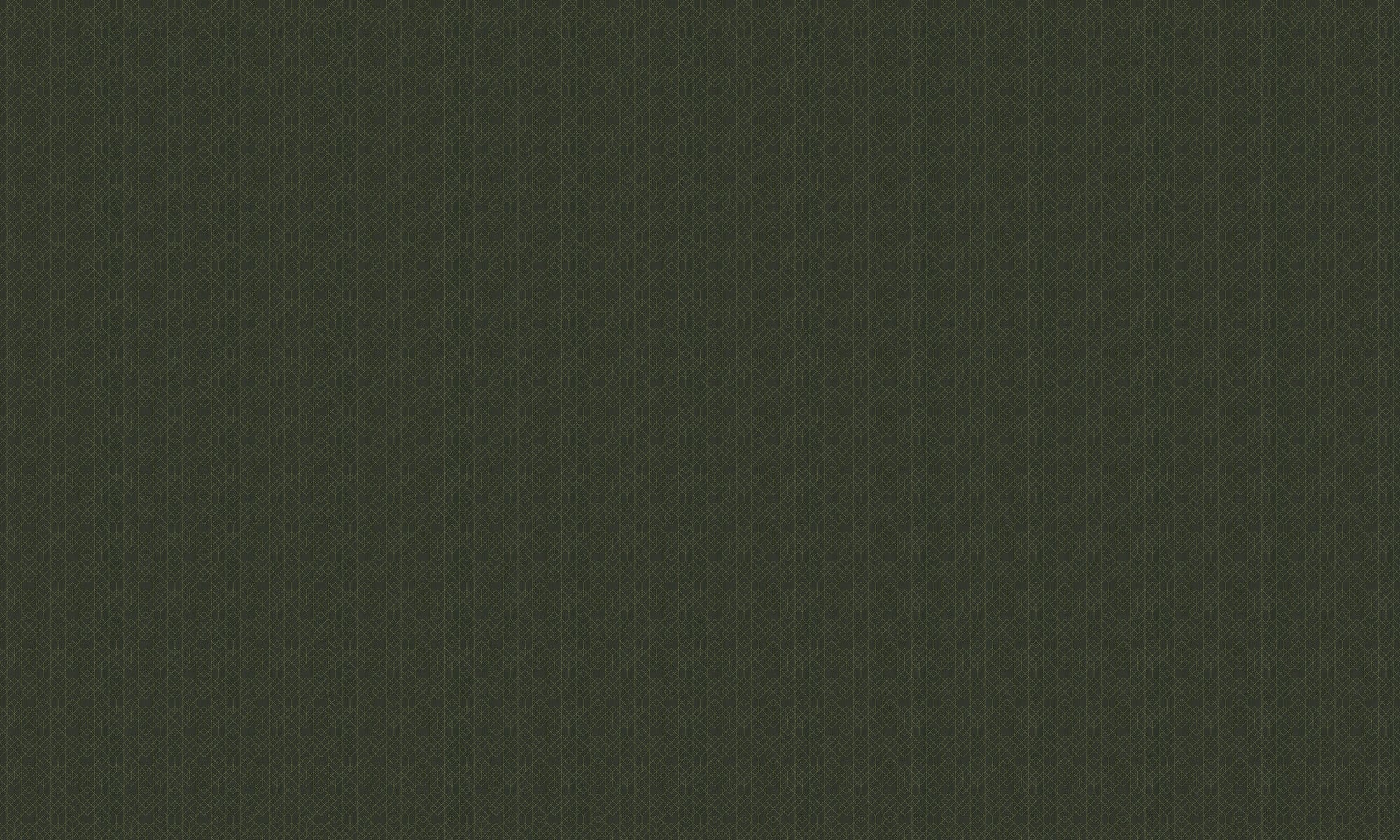 B00541 Rhombohedral Pine Lattice Wallpaper by Coordonné