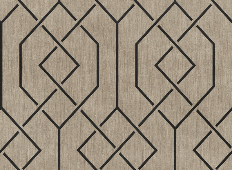 B00543 Trellis Mole Lattice Wallpaper by Coordonné