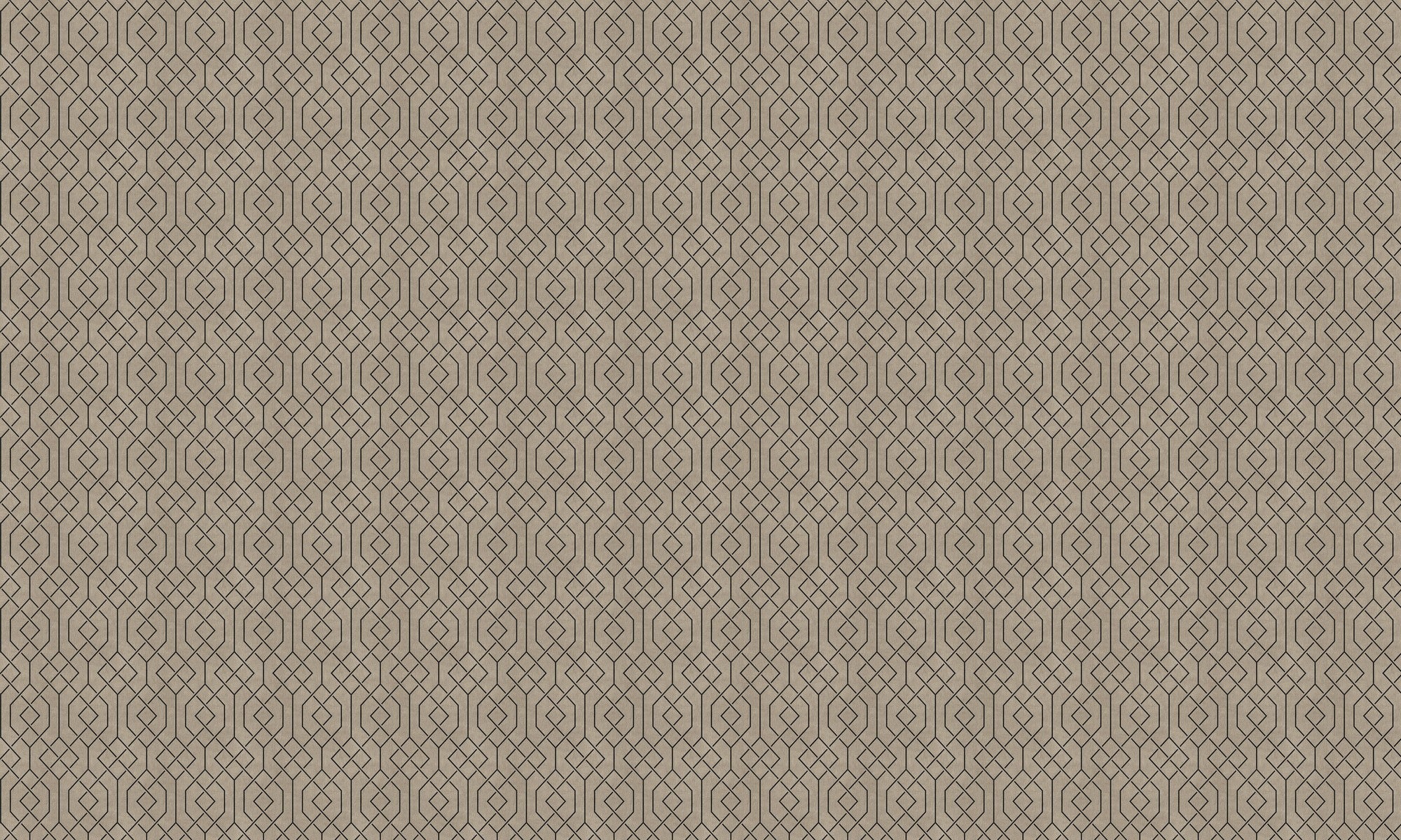 B00543 Trellis Mole Lattice Wallpaper by Coordonné
