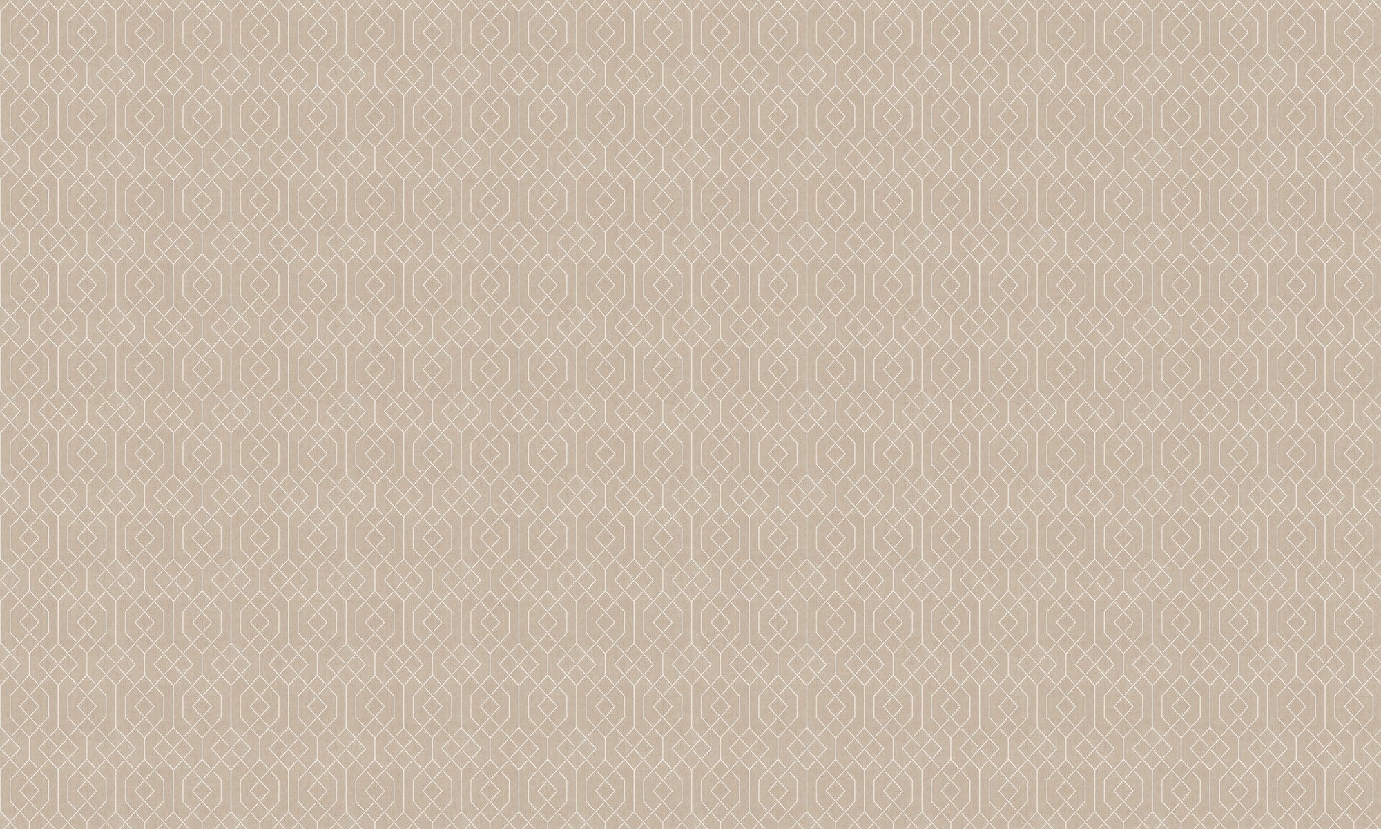 B00545 Trellis Stone Lattice Wallpaper by Coordonné