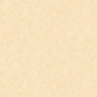 B00776 Estuco Yellow/orange Tactus Wallpaper by Coordonné