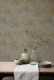 B00780 Pétreo Brown Tactus Wallpaper by Coordonné