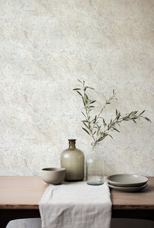 B00782 Pétreo White/grey Tactus Wallpaper by Coordonné