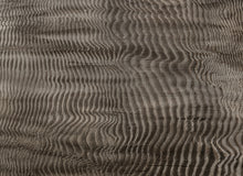 B00841 Harenae Silver Random Metallics II Mural by Coordonné