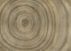 Bois Copper Random Metallics II Mural by Coordonné