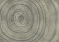 Bois Silver Random Metallics II Mural by Coordonné