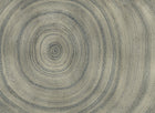 B00845 Bois Silver Random Metallics II Mural by Coordonné