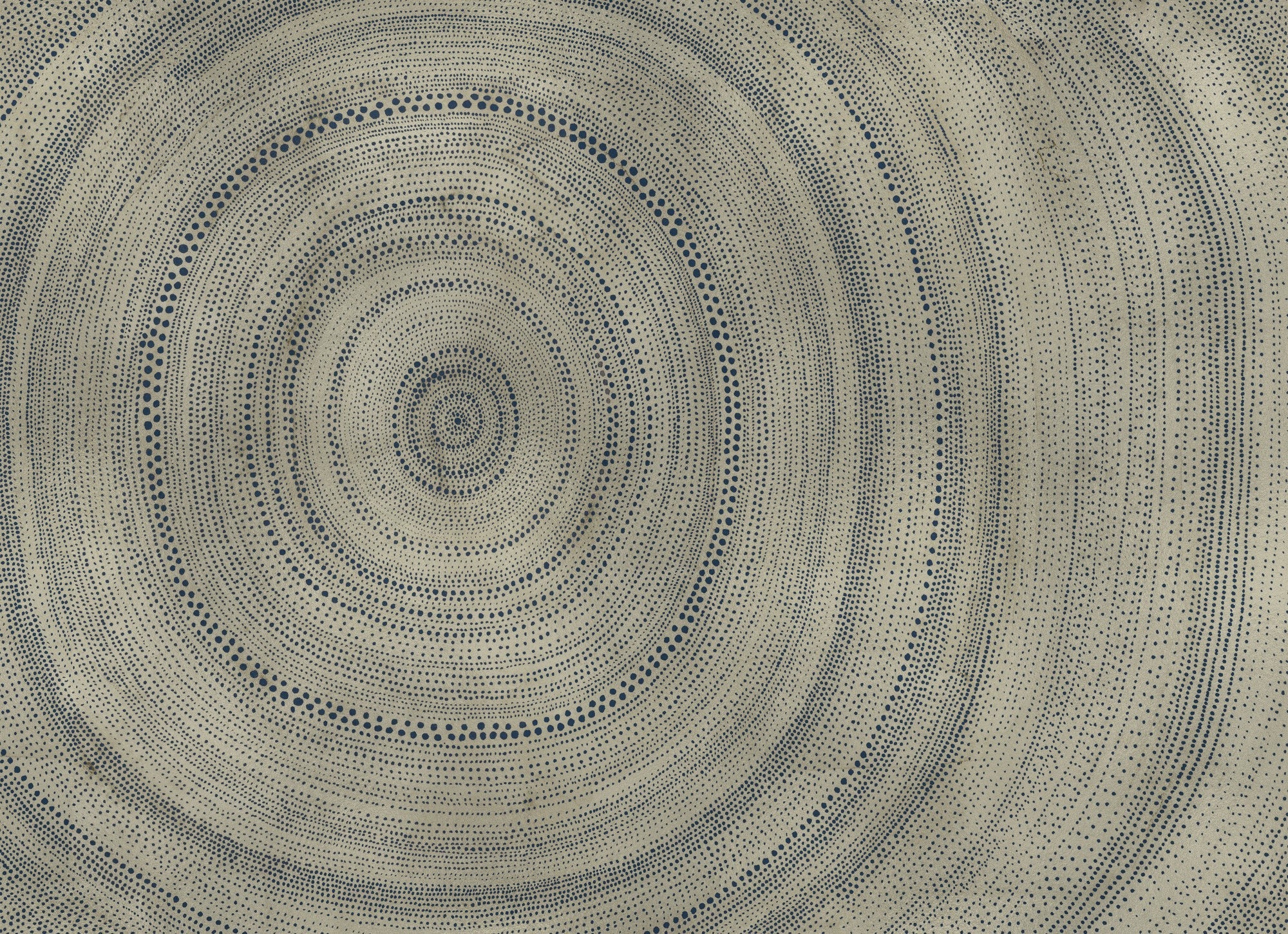 B00845 Bois Silver Random Metallics II Mural by Coordonné