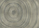 Bois Silver Random Metallics II Mural by Coordonné