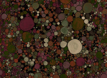 B00854 Big Bang Coal Random Metallics II Mural by Coordonné
