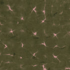 Kanoko Moss Shibori Wallpaper by Coordonné