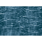 Arashi Indigo Shibori Mural by Coordonné (400x280cm)