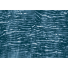 Arashi Indigo Shibori Mural by Coordonné (400x280cm)