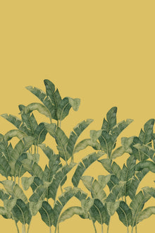 BA01 Bananella Yellow Les Vangardes Mural by Tres Tintas