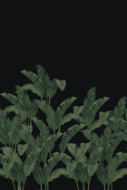 BA04 Bananella Black Les Vangardes Mural by Tres Tintas