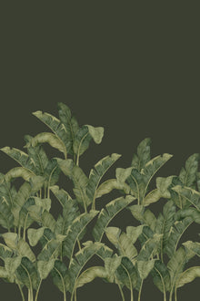 BA07 Bananella Green Les Vangardes Mural by Tres Tintas