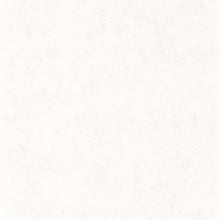 BET101480000 Uni Mat Beton Wallpaper by Caselio