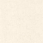 BET101480010 Uni Mat Beton Wallpaper by Caselio