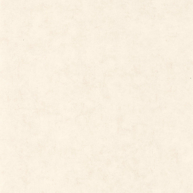 BET101480010 Uni Mat Beton Wallpaper by Caselio