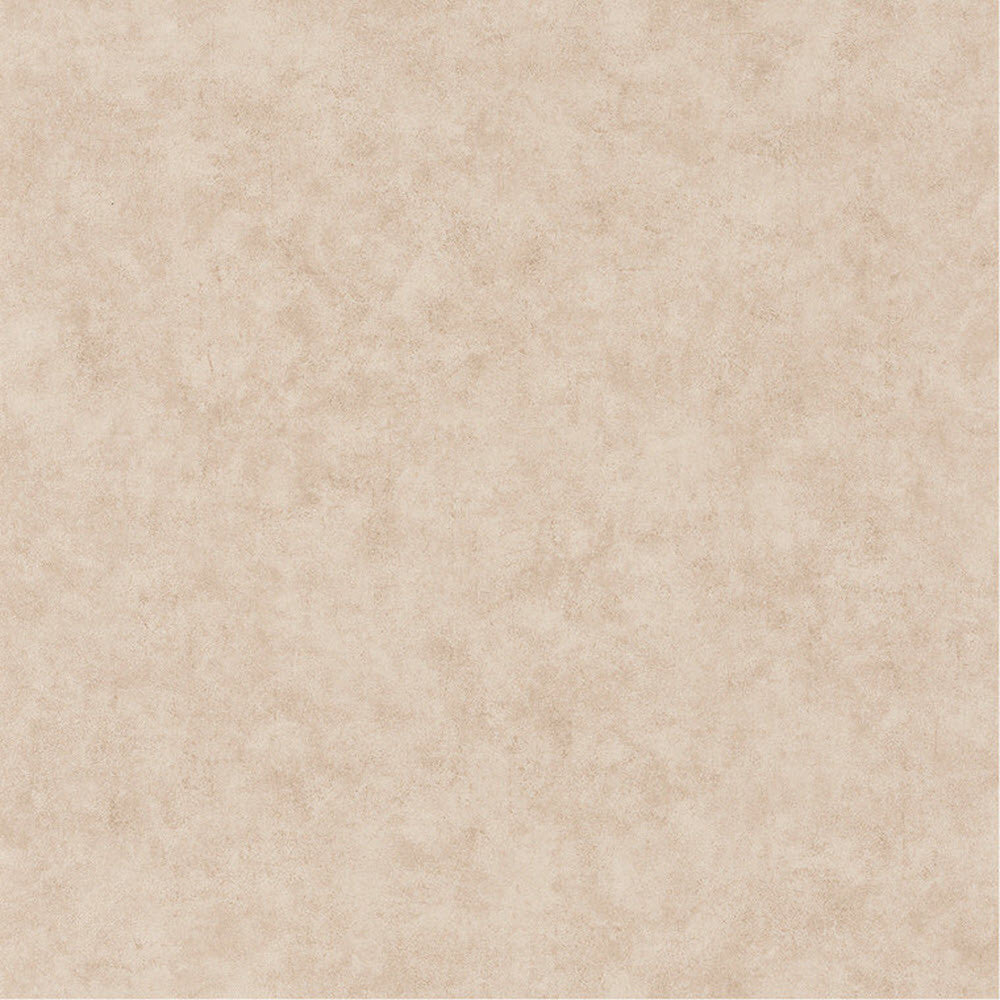 BET101481156 Uni Mat Beton Wallpaper by Caselio