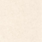 BET101481258 Uni Mat Beton Wallpaper by Caselio