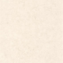 BET101481258 Uni Mat Beton Wallpaper by Caselio