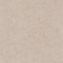 BET101481342 Uni Mat Beton Wallpaper by Caselio