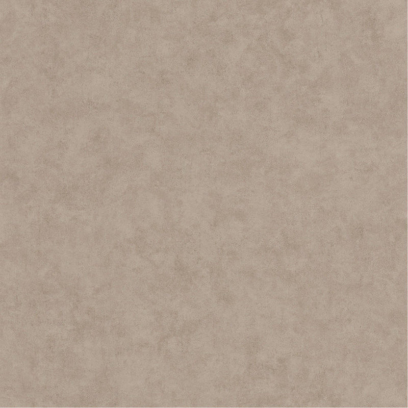 BET101481462 Uni Mat Beton Wallpaper by Caselio