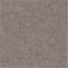 BET101481590 Uni Mat Beton Wallpaper by Caselio