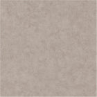 BET101481795 Uni Mat Beton Wallpaper by Caselio