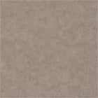 BET101481899 Uni Mat Beton Wallpaper by Caselio