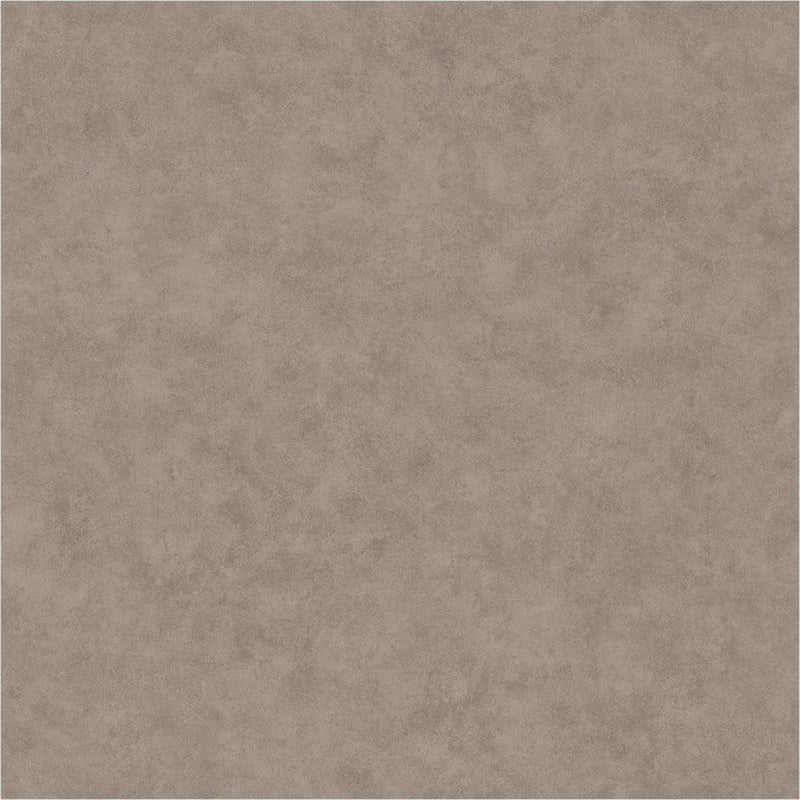 BET101481899 Uni Mat Beton Wallpaper by Caselio