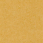 BET101482000 Uni Mat Beton Wallpaper by Caselio