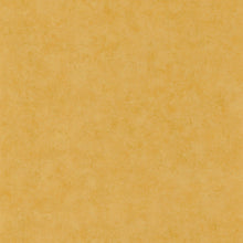 BET101482000 Uni Mat Beton Wallpaper by Caselio