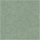 BET101487670 Uni Mat Beton Wallpaper by Caselio