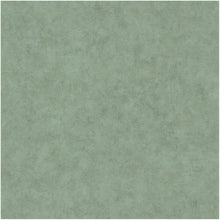 BET101487670 Uni Mat Beton Wallpaper by Caselio