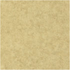 BET101487893 Uni Mat Beton Wallpaper by Caselio