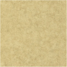 BET101487893 Uni Mat Beton Wallpaper by Caselio