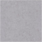 BET101489134 Uni Mat Beton Wallpaper by Caselio