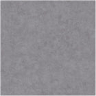 BET101489260 Uni Mat Beton Wallpaper by Caselio
